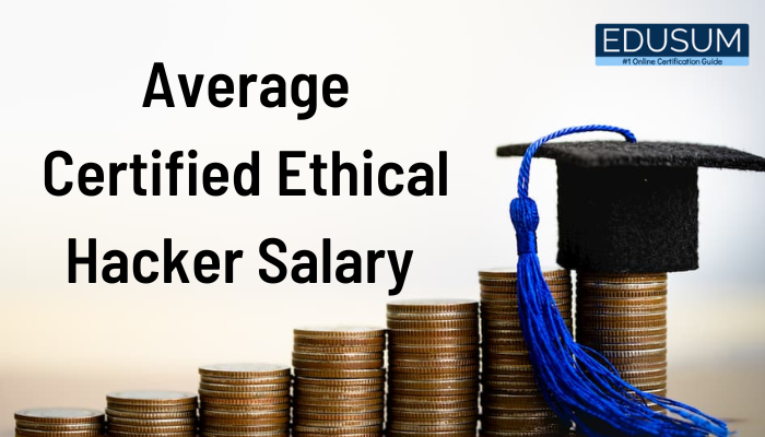 ethical-hacker-salary-india-in-2024-fresher-experienced